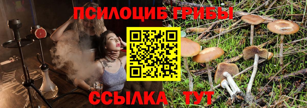 Псилоцибиновые грибы Psilocybine cubensis  Вход с VPN  Валуйки 